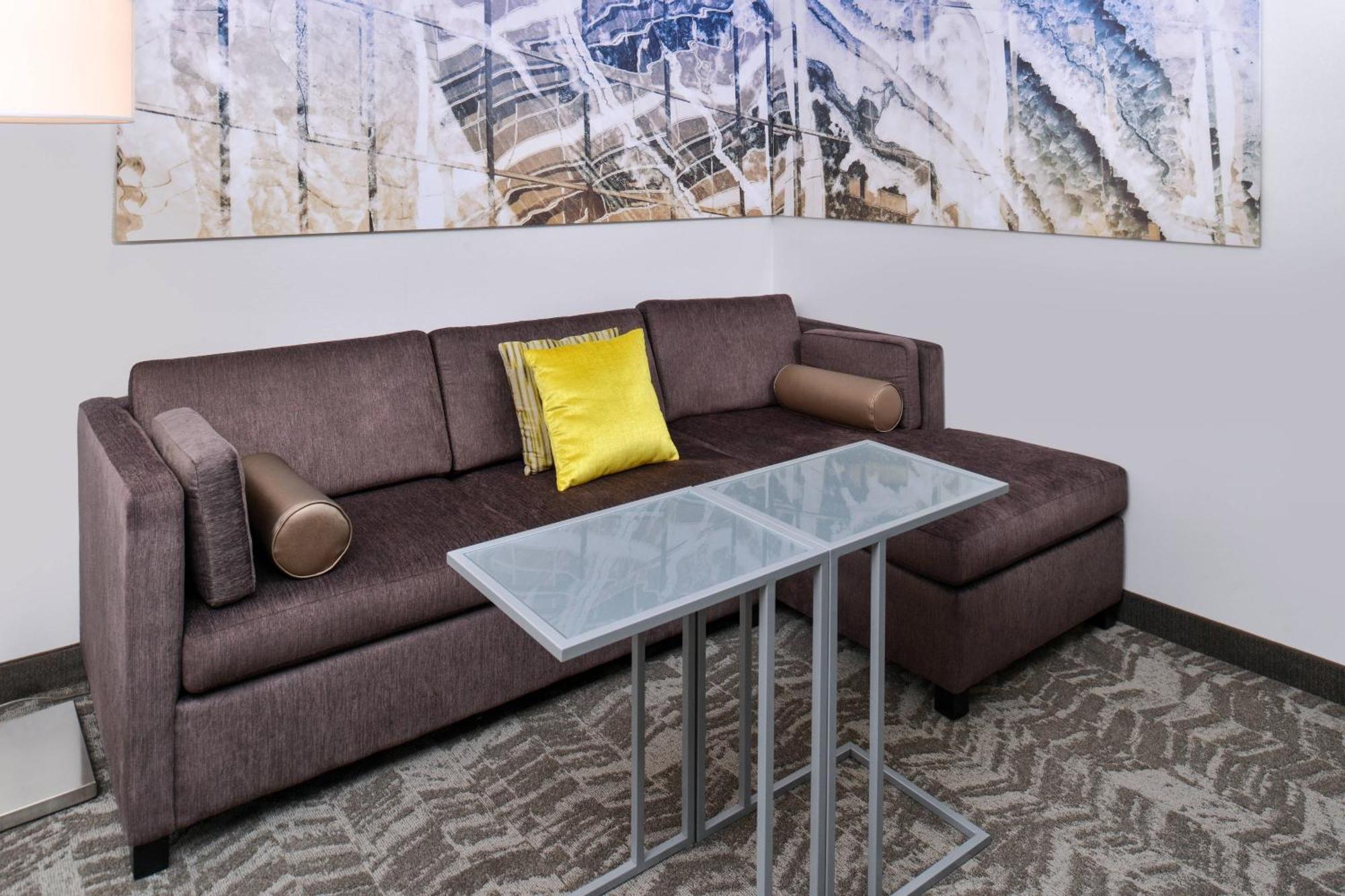 Springhill Suites By Marriott Detroit Metro Airport Romulus Luaran gambar